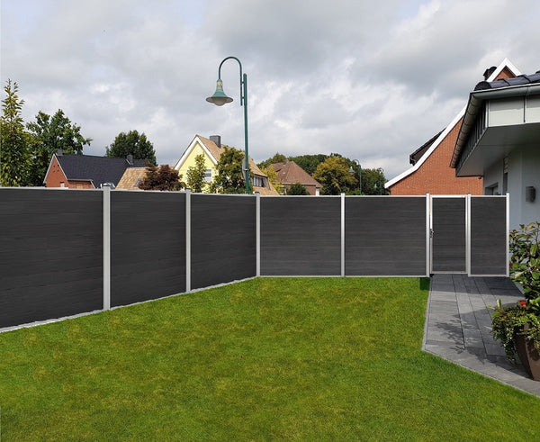 Ex-anthraz-silber-Modell